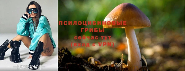 ГАЛЛЮЦИНОГЕННЫЕ ГРИБЫ Алексеевка