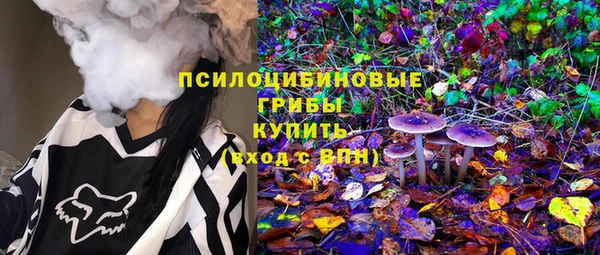ГАЛЛЮЦИНОГЕННЫЕ ГРИБЫ Алексеевка