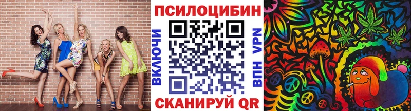 Псилоцибиновые грибы GOLDEN TEACHER  купить   Клин 